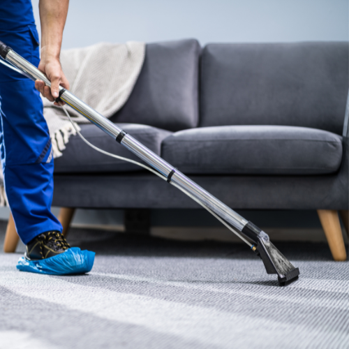 Hydra and Calypso Carpet Cleaning